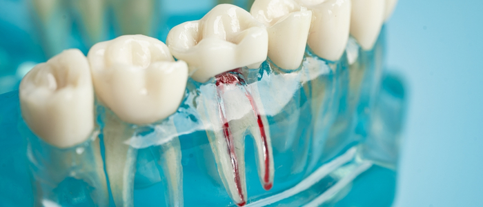 Swetha Multispeciality Dental Hospital